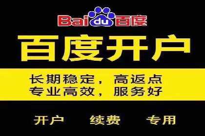 百度推广运营案例解析：从零开始到精通